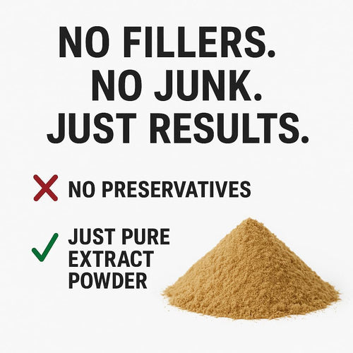 High Strength Turkey Tail Fruiting Body Extract Powder 30% polysaccharides